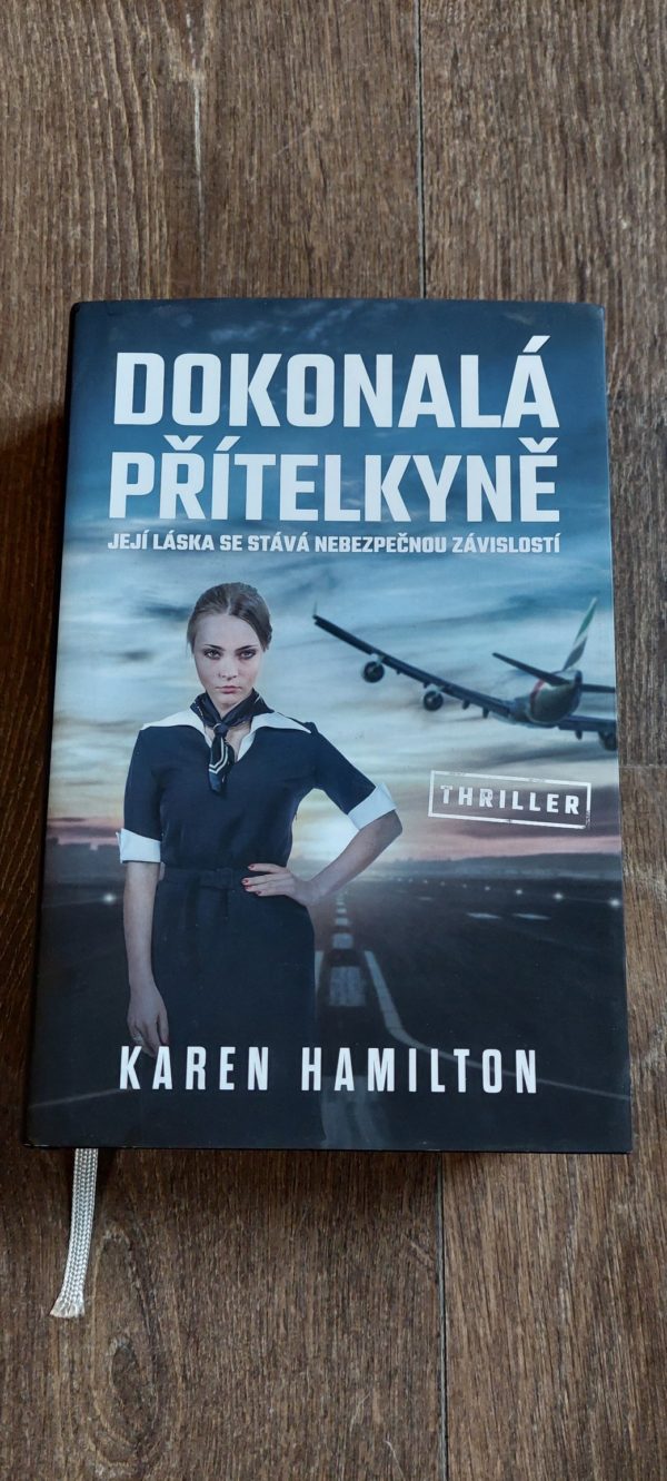 Karen Hamilton: Dokonalá přítelkyně, 2018